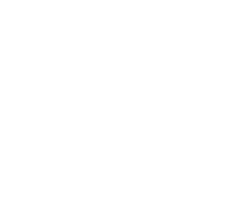 Placa 132